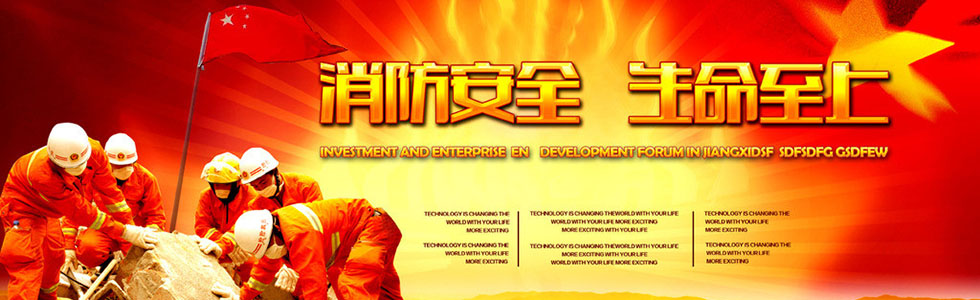 ������ȫ������������