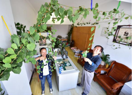 平常室內(nèi)除甲醛用的方法弊端有哪些？