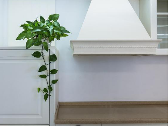 平常室內(nèi)除甲醛用的方法弊端有哪些？