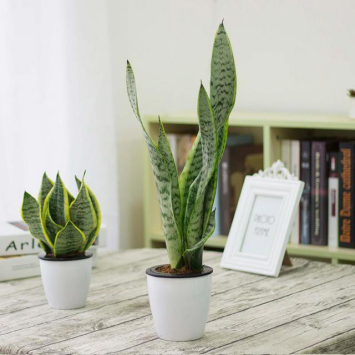 室內(nèi)裝修選擇什么材料可以預(yù)防甲醛污染？