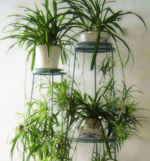 新裝修的房子室內(nèi)污染嚴(yán)重，孕婦多久可以入??？