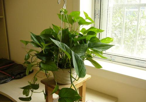 新裝修的房子室內(nèi)污染嚴(yán)重，孕婦多久可以入??？