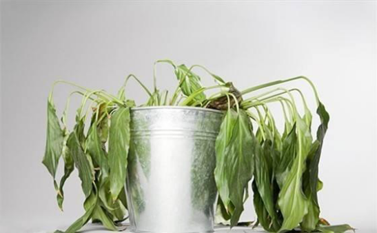 新房如何做甲醛檢測(cè)？怎么預(yù)防室內(nèi)甲醛污染？