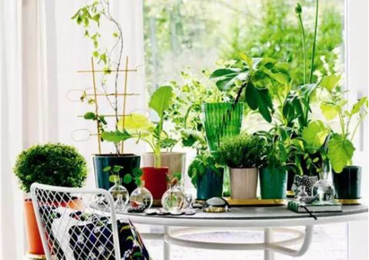 室內(nèi)空氣污染大，是時候找除甲醛公司加盟機(jī)構(gòu)治理了