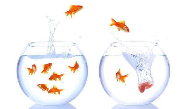 每年有380萬人因室內(nèi)污染而死，裝修必知6條經(jīng)驗(yàn)！