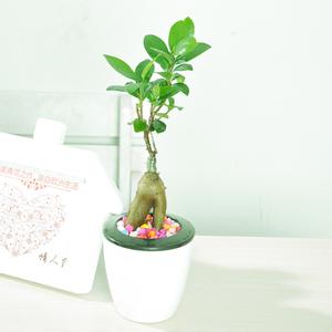 暑假氣溫這么高，怎么除甲醛比較好？