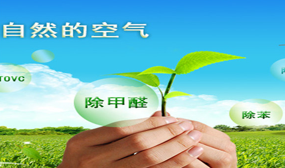 怎么樣選擇除甲醛加盟公司？