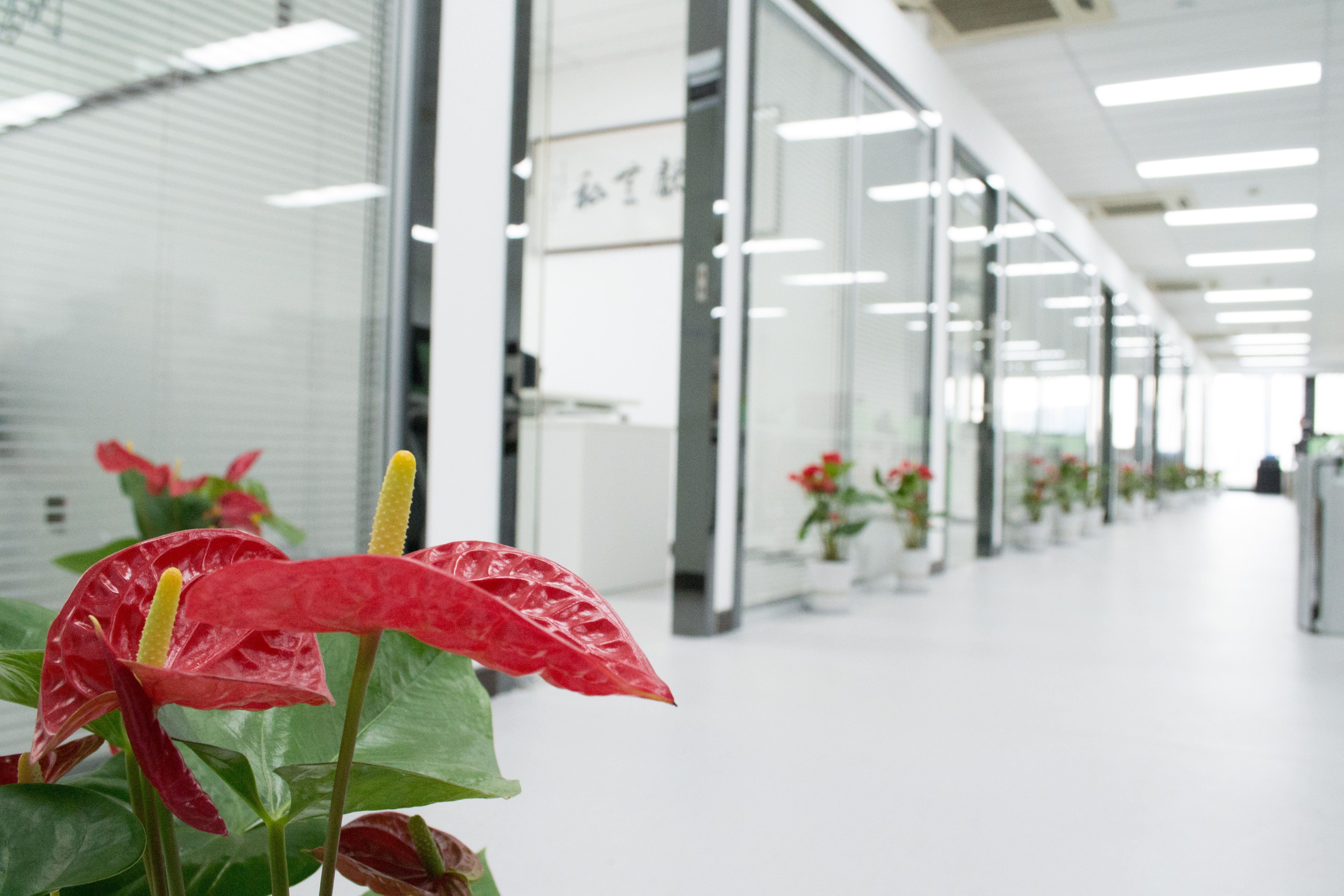 新起點(diǎn)，新征程 | 熱烈祝賀創(chuàng)綠家喬遷新址