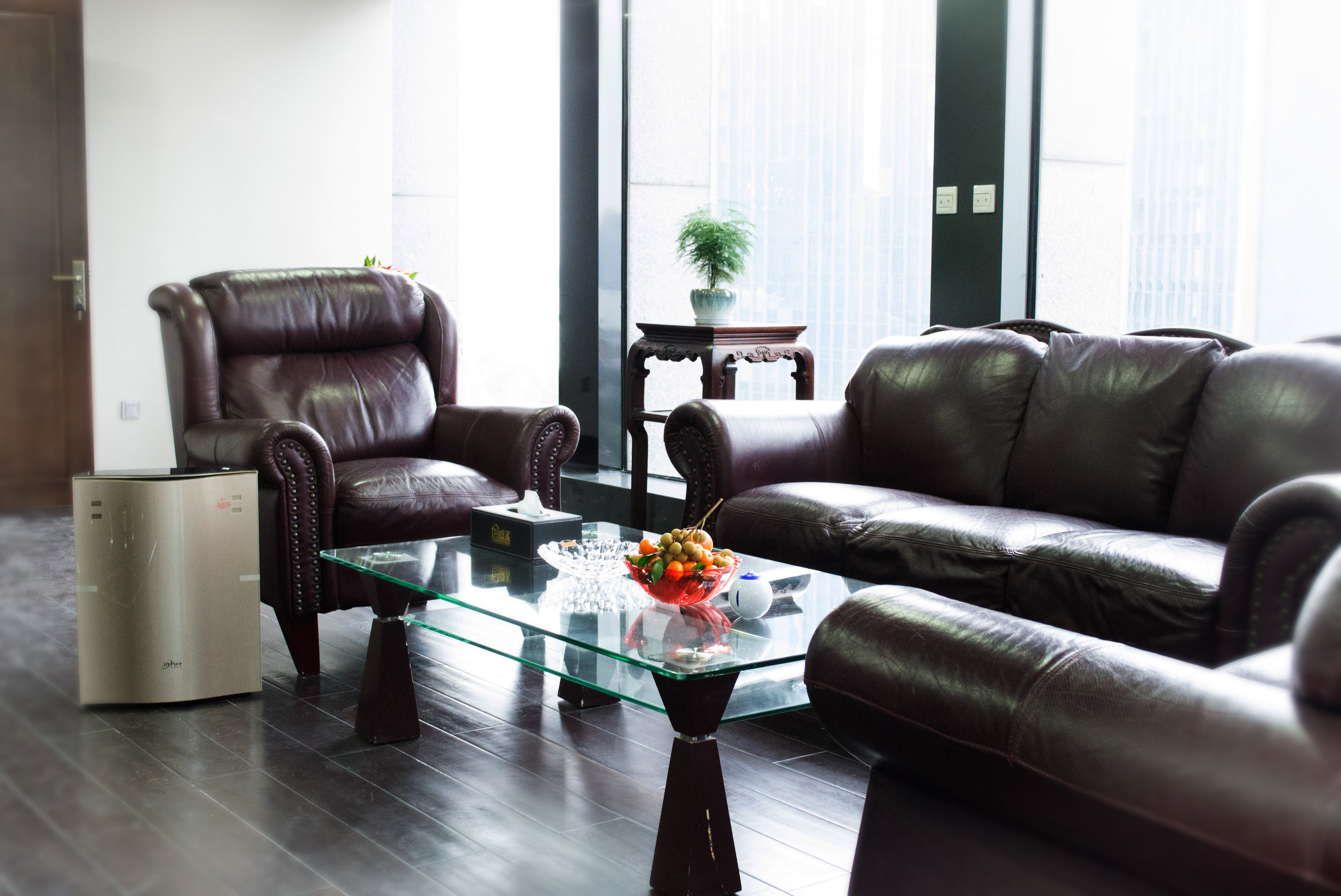 新起點(diǎn)，新征程 | 熱烈祝賀創(chuàng)綠家喬遷新址